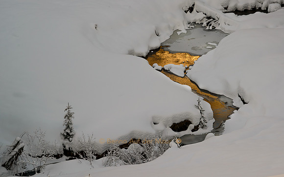 Goldfarben reflektiert ein Bach das winterliche Sonnenlicht