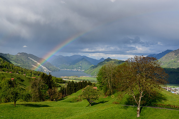 Regenbogen über Alpnach. Im Hintergrund Stanserhorn