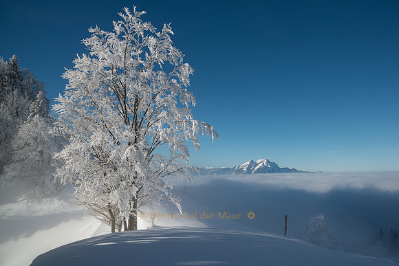 Ein Wintertraum wie im Bilderbuch!
