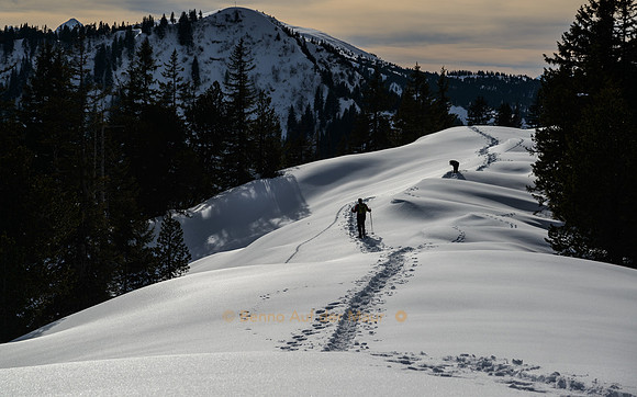 Schneeschuhläufer mit Hund unterwegs.