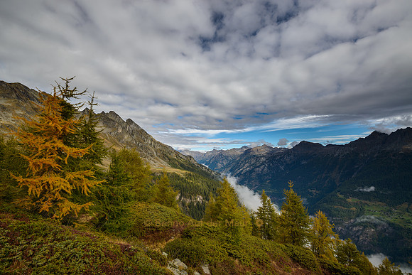 Blick ins herbstliche Val Calanca