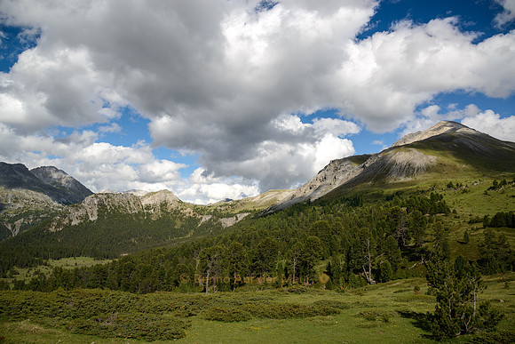 Blick vom Döss da las Plattas zum Pass dal Fuorn (Ofenpass)
