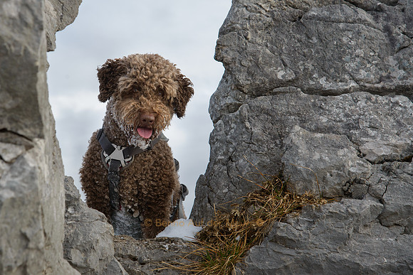 Aufmerksam beobachtet Saya durch zwei Felsen hindurch meinen Aufstieg