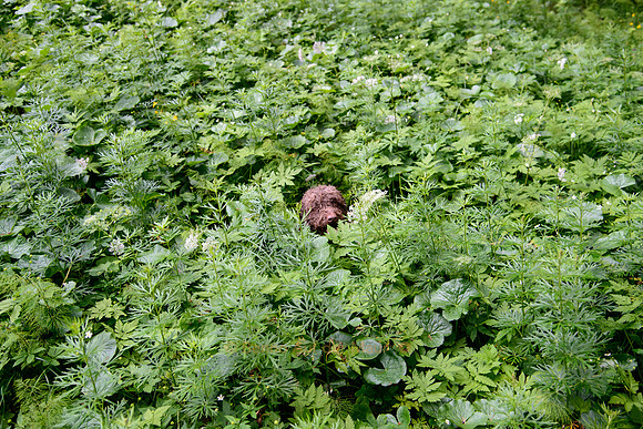 Hey - here I am