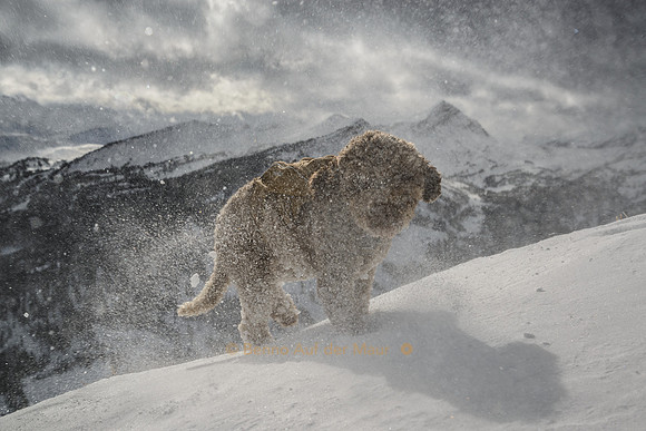 Stormy weather on peak Schimbrig