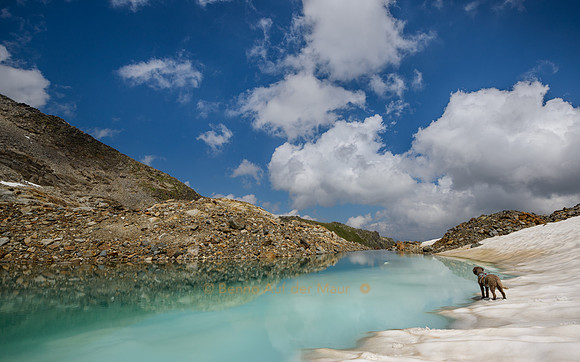 Wow - what a beach!