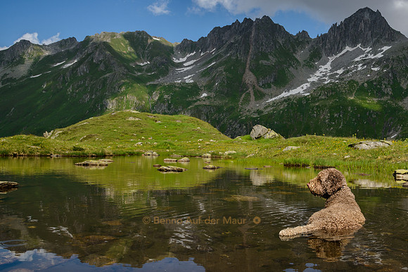Alpine Wellness