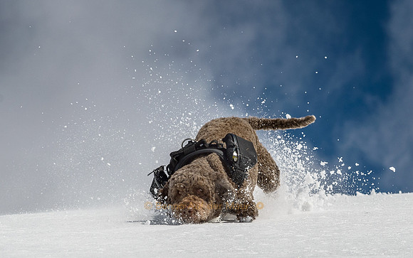 Hoppla - ein Taucher - der Schnee ist nicht überall gleich tragfähig....