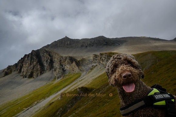 eager for the next adventure