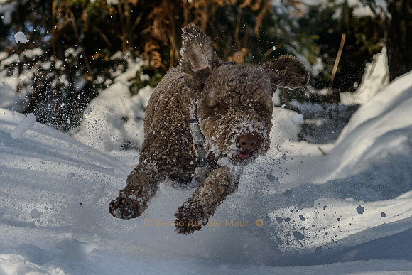 Air Gremlin :-)