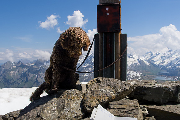Just checking if the summit register is completed correctly