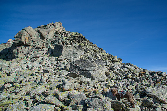 Über Blockgelände zum Gipfel des Klein Furkahorn (3026 m.ü.M.)