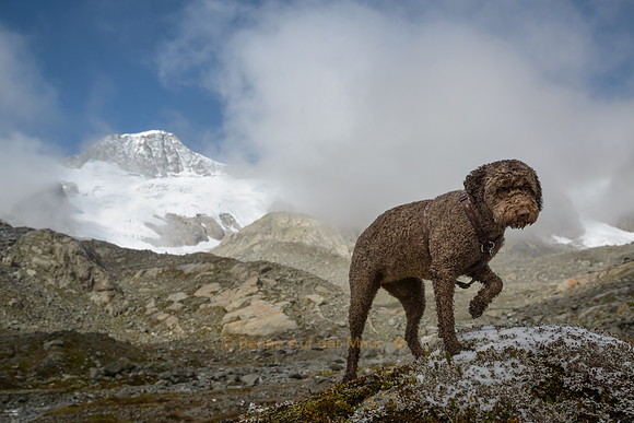 Der erste Schnee