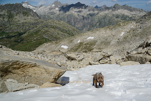 Saya auf dem Weg zum Üerlicherjoch