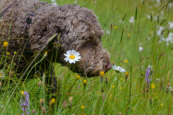 smells good!