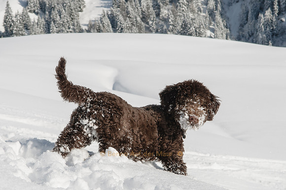First contact with snow...