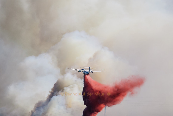 Löschflugzeug versucht mit eindrücklichen Flug-Manövern einem Waldbrand Einhalt zu gebieten
