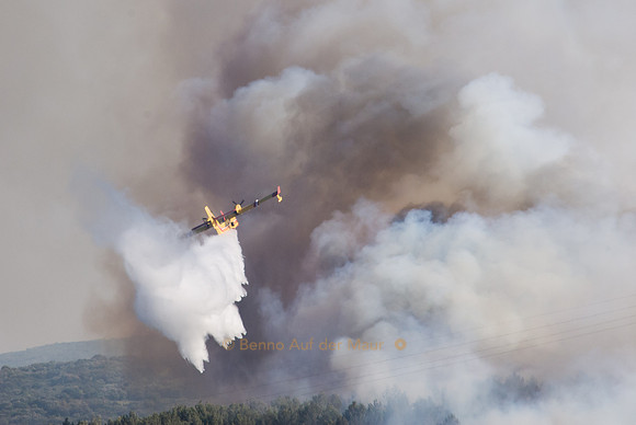 Löschflugzeug versucht mit eindrücklichen Flug-Manövern einem Waldbrand Einhalt zu gebieten