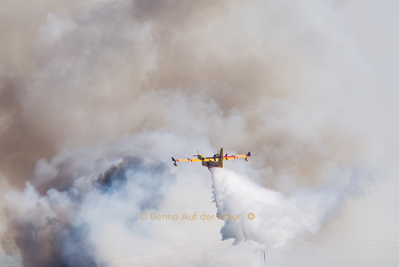 Löschflugzeug versucht mit eindrücklichen Flug-Manövern einem Waldbrand Einhalt zu gebieten