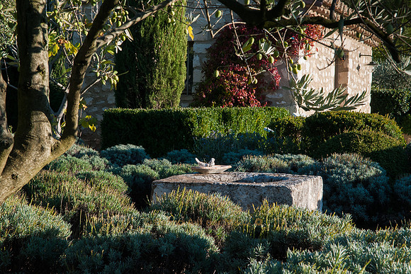 provenzalischer Garten