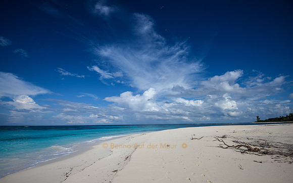 Strand Nähe dem North Point von Bird Island
