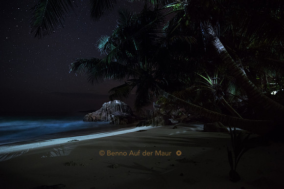 Anse Patates in der Nacht