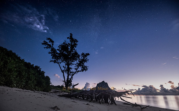 Morgenerwachen auf Bird Island