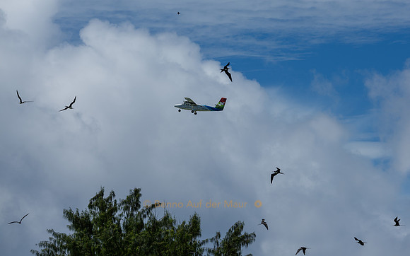 Kleinflugzeug der Air Seychelles