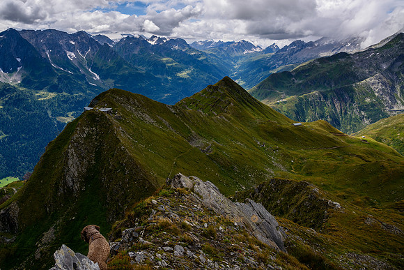 View down