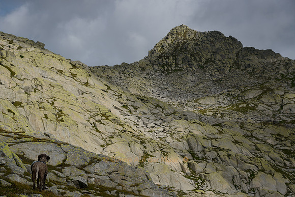 On the way to Pizzo d'Orsino  (2660 m)