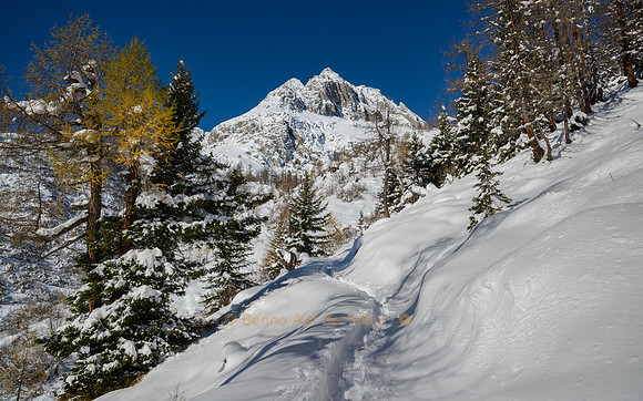 Spur im frisch gefallenen Pulverschnee führt zum Poncione di Cassina Baggio