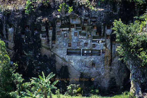 In Fels gehauene Begräbnisstätte. Puppen (tau tau) symbolisieren die Verstorbenen; Nähe Rantepao, Tana Toraja – Zentral-Sulawesi