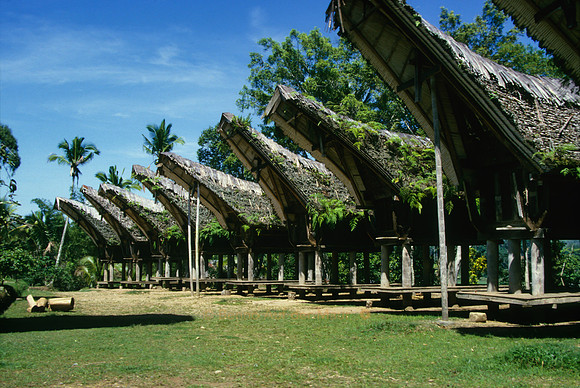 Traditionelle Häuser (tongkonan); Nähe Rantepao, Tana Toraja – Zentral-Sulawesi
