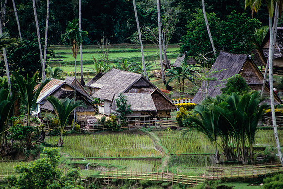 Traditionelles Dorf; auf dem Weg von Au nach Tuare – Nord-Sulawesi