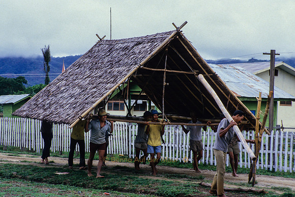 Haustransport; Gintu - Nord-Sulawesi