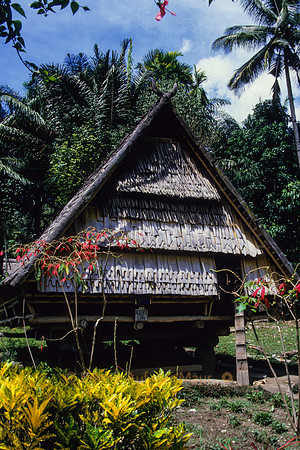 Traditionelles Dorf; auf dem Weg von Au nach Tuare – Nord-Sulawesi