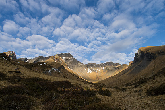 Looks like somewhere in the Andes
