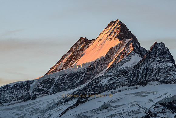 Schreckhorn mit Gletscher im ersten Morgenlicht