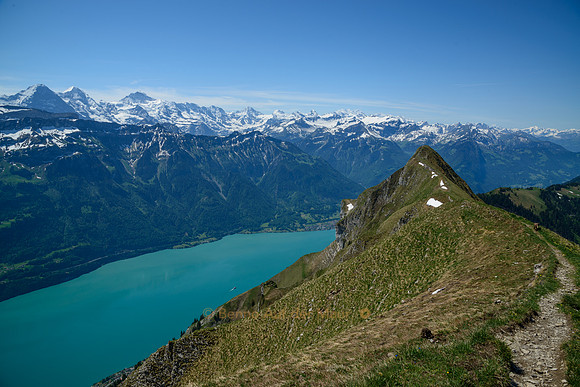 Brienzergrat; Blick auf Brienzersee, Suggiture, Eiger, Mönch und Jungfrau