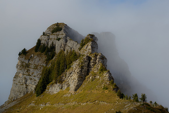 Oberberghorn, Schynige Platte, im Nebel - Berner Oberland