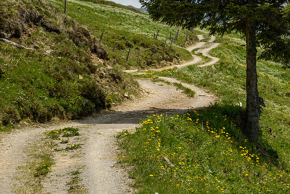 Ein Bergsträsschen kurvt in leichten Auf und Ab