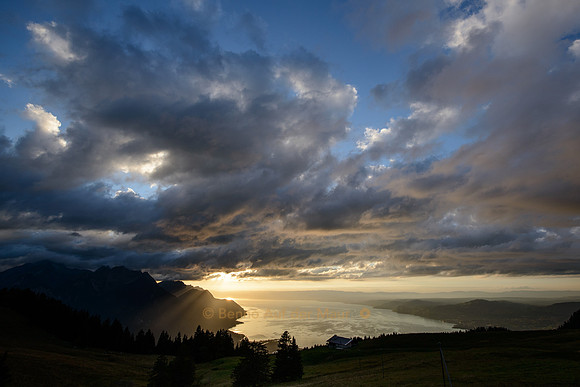 Sonnenuntergang über dem Lac Léman