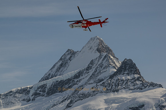 Rega-Flieger über dem Schreckhorn